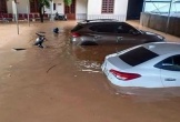 Sau mưa lũ ở Nghệ An, những ô tô bị ngập nước là coi như 