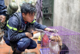 Di ảnh người lính cứu hỏa Đỗ Đức Việt bên chú cún được cứu lay động cộng đồng mạng