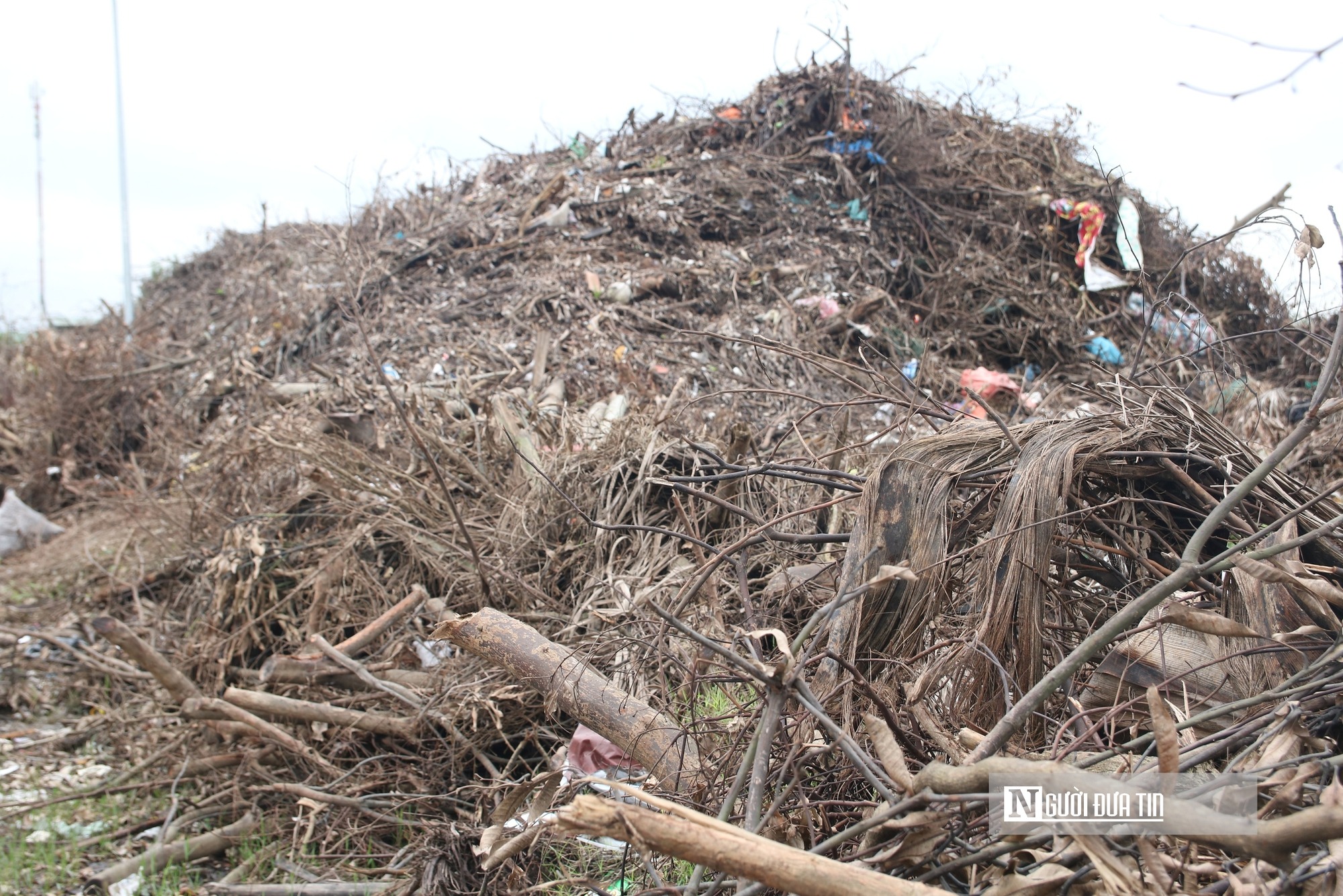 Rác thải chất đống cao ngút hai bên đường ở trung tâm đô thị Nghệ An
