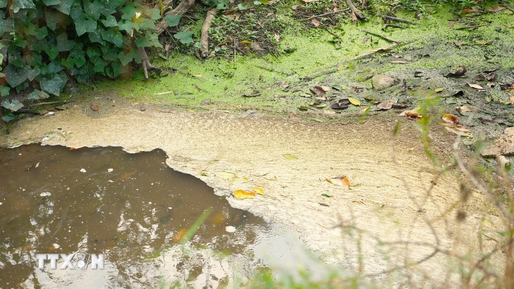 Nước suối Bắc đổi màu, các chỉ số vượt chuẩn nhiều lần