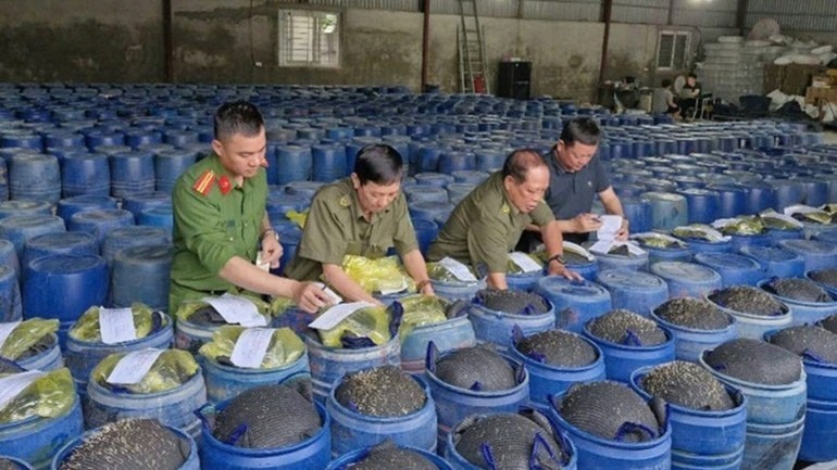 Nghệ An: Xử lý vi phạm hành chính hơn 5.000 vụ gian lận thương mại, hàng giả