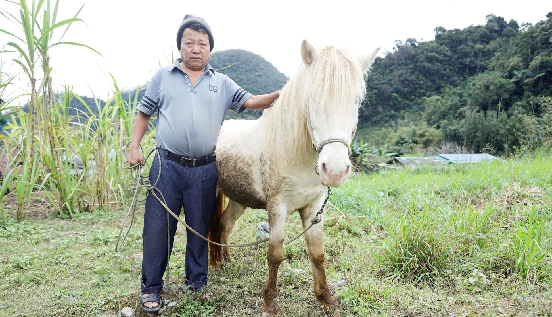 Ngựa trên “cổng trời” Mường Lống
