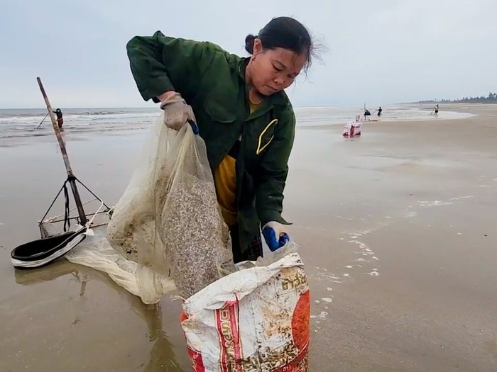 Hàng trăm người dân Hà Tĩnh ra bờ biển cào ốc tép, kiếm tiền triệu đầu năm