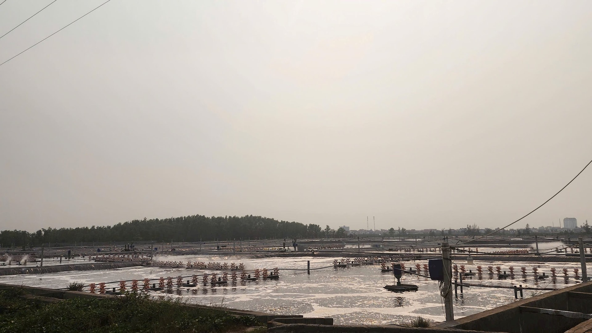 Xử phạt 320 triệu đồng công ty không có giấy phép môi trường