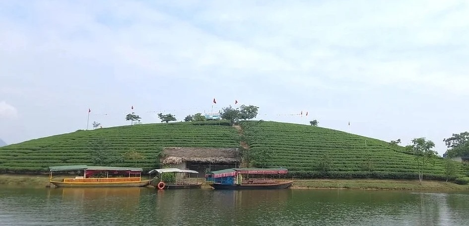 Nghệ An đề nghị chấm dứt dự án hơn 1.500 tỷ của Cienco4