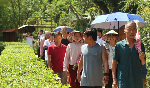 Kim Liên tháng 5, nơi triệu người tìm về quê Bác
