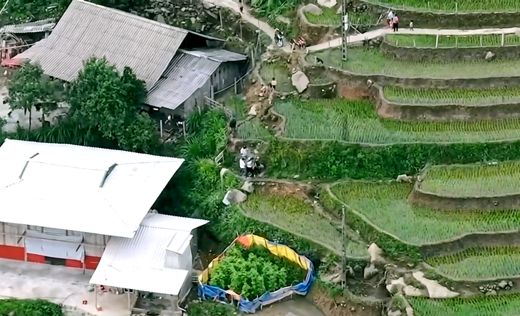 Hơn 100 công an băng rừng, dùng flycam theo dõi, bắt ổ nhóm ma túy hoạt động kiểu dòng họ