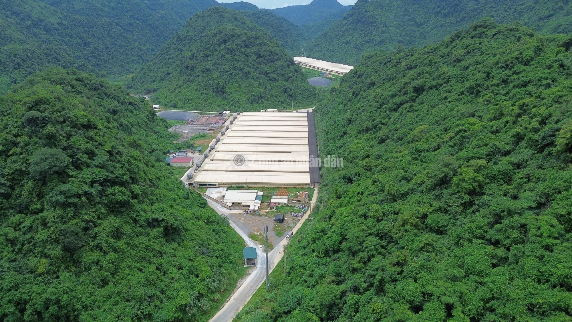 7 người thương vong khi sửa chữa hệ thống điện tại trang trại