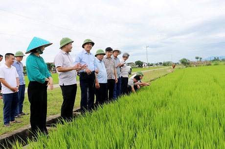 Chủ tịch UBND tỉnh Võ Trọng Hải kiểm tra sản xuất vụ Hè Thu và công tác phòng cháy chữa cháy rừng