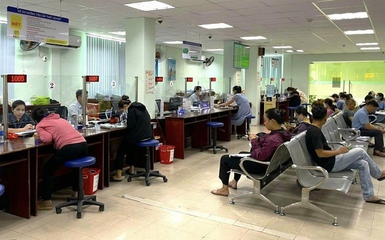 TP. Đà Nẵng xác minh 124 trường hợp nghi hưởng sai trợ cấp thất nghiệp