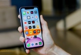 iPhone 11, iPhone 12 giảm giá tiền triệu tại Việt Nam