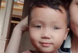 Vụ bé trai 2 tuổi mất tích trước cổng nhà: Đưa chó nghiệp vụ đi tìm kiếm