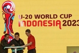 Indonesia bị FIFA tước quyền đăng cai U20 World Cup