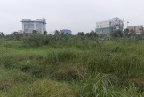 Nghệ An: Khu đất trung tâm hành chính tập trung bị bỏ không nhiều năm