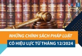 Những chính sách pháp luật có hiệu lực từ tháng 12/2024