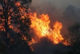 Nghệ An ban hành công điện khẩn về phòng cháy, chữa cháy rừng