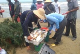 Ngư dân Hà Tĩnh trúng đậm mẻ cá đù gần 100 triệu đồng