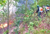Nghệ An: Tăng cường công tác phòng chống cháy rừng