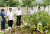 UBND tỉnh thẩm tra các tiêu chí huyện nông thôn mới tại Hưng Nguyên