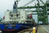Hải quan Hà Tĩnh: Thu ngân sách qua cụm cảng Vũng Áng - Sơn Dương tăng mạnh