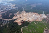 Ai đứng sau Công ty AIT phá rừng tự nhiên ở Thanh Hóa?