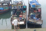 Nghi án hủy hoại tài sản tại vùng biển Hà Tĩnh: Bộ đội Biên phòng tỉnh chỉ đạo điều tra, xác minh, làm rõ