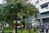 Nam sinh Đại học Nông Lâm nghi rơi lầu ký túc xá tử vong lúc rạng sáng