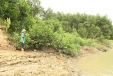 Sạt lở bờ sông Lam, người dân lo mất đất sản xuất