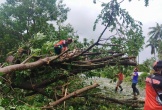 Hàng nghìn người Philippines sơ tán vì bão Fengshen