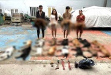 Bắt kẻ trộm chó thủ sẵn bột ớt để chống trả khi bị truy đuổi