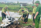 Nghệ An: Trong 1 tháng tiêu hủy gần 21.500m lưới bẫy đánh bắt chim trời