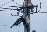 Trèo lên trụ điện bắt ong vò vẽ, nam thanh niên tử vong
