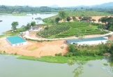 Nghệ An: Trại lợn không phép 