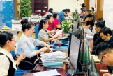 Nghệ An công bố 23 thủ tục hành chính lĩnh vực nông nghiệp và môi trường