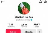 Chủ kênh TikTok 'Gia đình Hải Sen' bị bắt