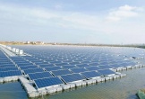 Số phận hai dự án điện mặt trời 7.800 tỷ ở Nghệ An?