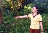Nghệ An lý giải chuyện mất 4,5 tỉ đồng để chuyển 300m2 đất vườn sang đất ở