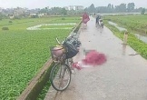 Người phụ nữ bị sét đánh tử vong trên cánh đồng