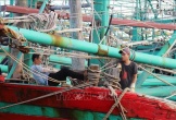 Ngư dân làng biển chủ động 'vượt' bão