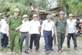 Chủ tịch Nghệ An kiểm tra 2 cây đa 'đặc biệt' ở Kim Liên bị bão quật ngã