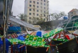 Trắng tay sau bão Kajiki