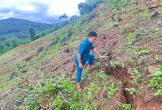 Nghệ An: Phát hiện vết nứt dài 100m trên sườn núi