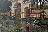 Hơn 600 công nhân dọn dẹp, làm sạch thành phố Vinh (cũ) sau bão số 10