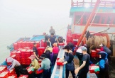 Trúng đậm mẻ cá ngứa, ngư dân Nghệ An 'đút túi' 500 triệu đồng
