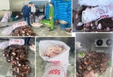 6 tấn thực phẩm mù mờ nguồn gốc, bốc mùi hôi thối chờ đi vào quán lẩu, quán nhậu