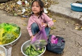 Phép màu 240 triệu dành cho cô bé mồ côi bán rau