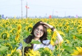 Mê mẩn vườn hoa hướng dương trên quê hương Bác Hồ 'hút' giới trẻ check-in