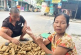 Nghệ An: Éo le cảnh đời mẹ già bán khoai nuôi ba người con mắc bệnh tâm thần
