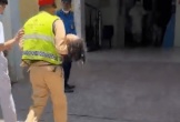 Bỏ dở bữa trưa, CSGT Nghệ An mở đường cứu hai cháu nhỏ nguy kịch