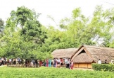 Kim Liên mùa ngát hương sen